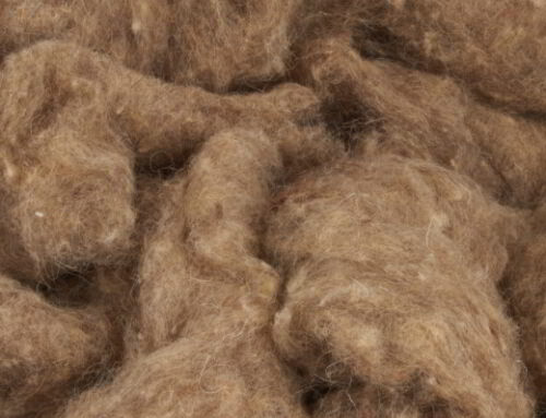 Schafwolle: Schafwolle ist ein nachhaltiger Dämmstoff, der aus recycelten Schafwollfasern hergestellt wird. Sie ist schimmelresistent und schalldämmend.